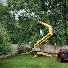 Seasonal Cleanup (Spring/Fall) in Franconia, VA